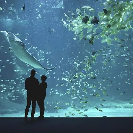 Au Petit Theatre, Cosy En Hyper Centre شقة *